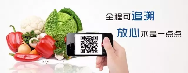 互联网赋能永州食品农产品出口 近四年年均增长61.8%的数字化突围之路