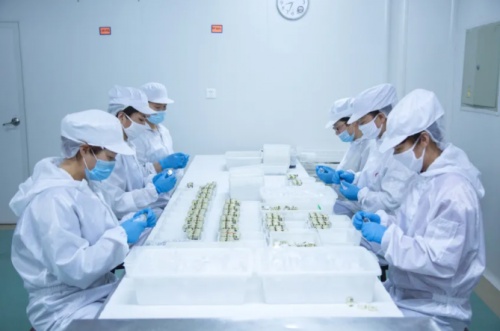 智能制造显优势 同仁堂健康大连生产基地打造高品质海洋养生产品